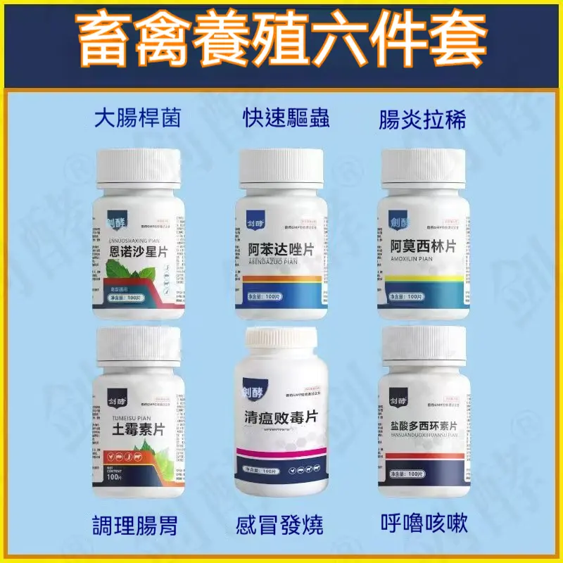 賽鴿常用六件套